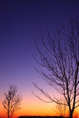 Venus at Sunset