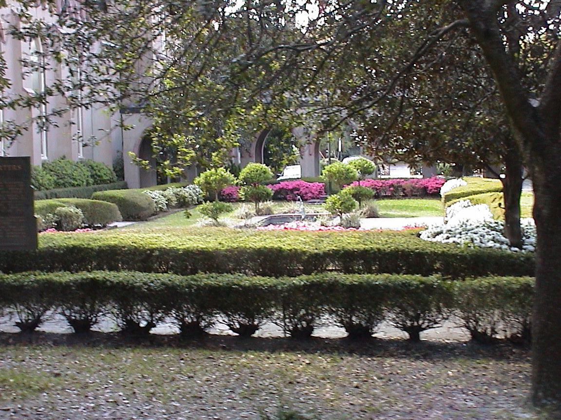 DSC00023.JPG
