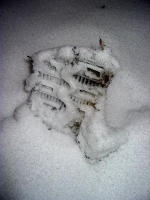 Frozen Footprint