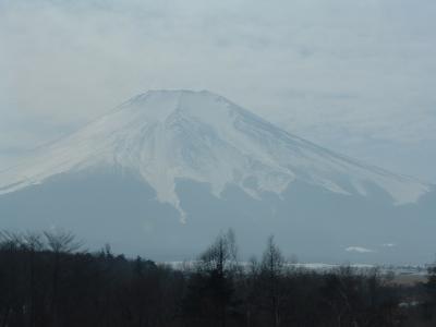 Mt. Fuji