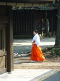 Traditionally DressedJapanese Womanat the Meiji Jingu Shrine