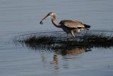 Img_7523.jpg