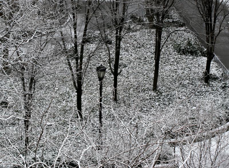 Morning Snow LaGuardia Place Garden