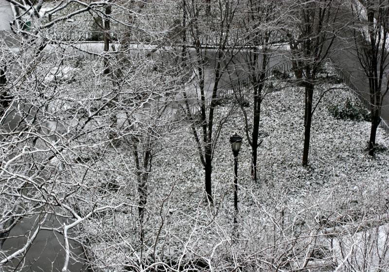 Morning Snow - LaGuardia Place Garden