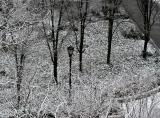 Morning Snow LaGuardia Place Garden