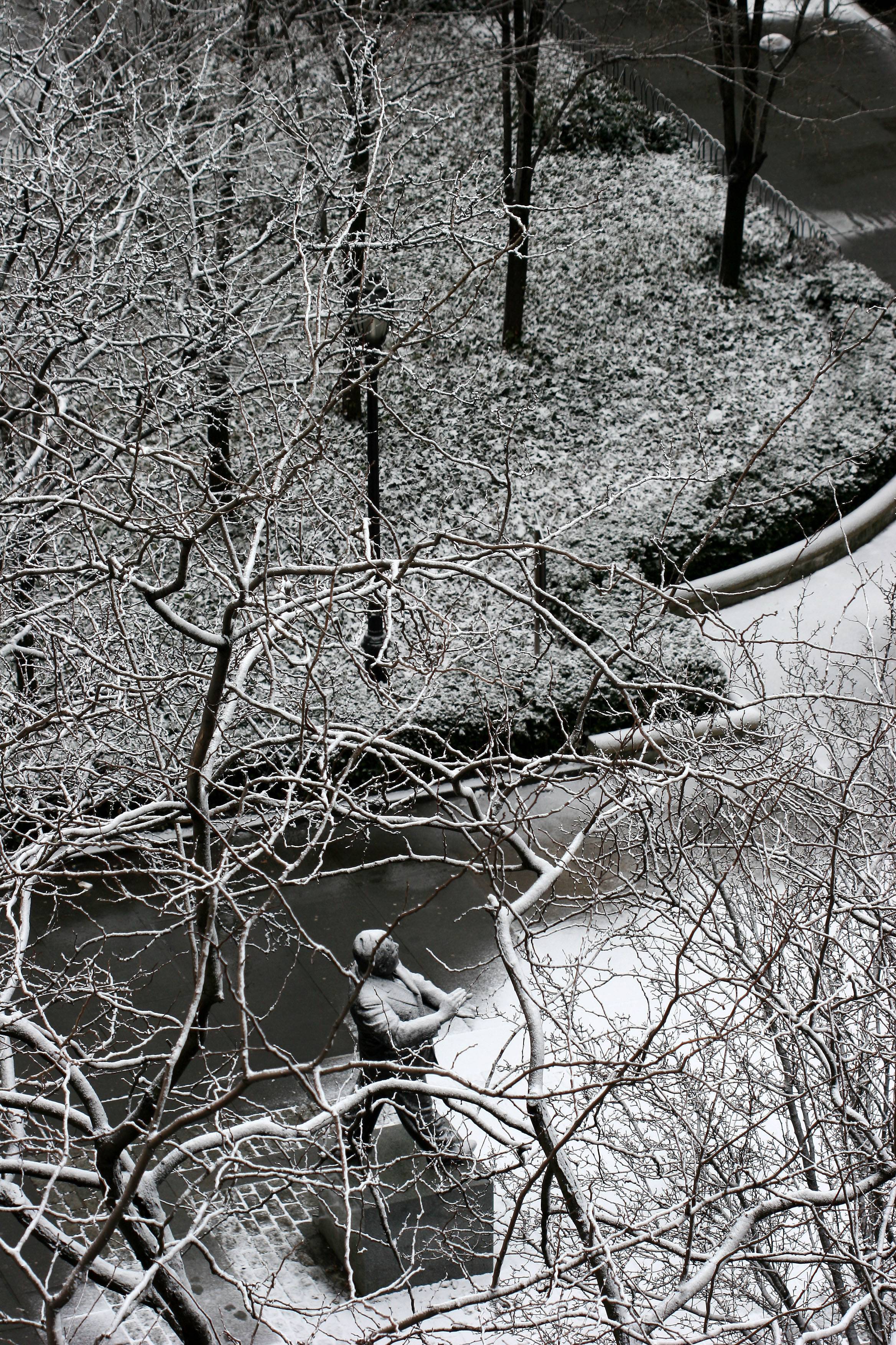 LaGuardia Place Gardens