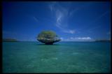 Aldabra Lagoon, Seychelles