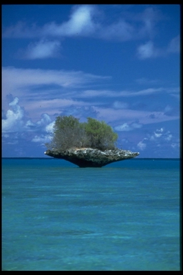 Aldabra Lagoon