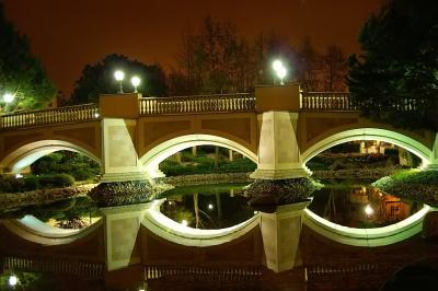 night bridge.jpg