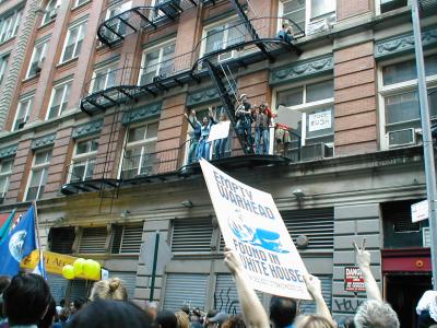 nyu.jpg
