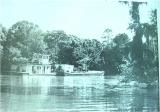 Trawler Cleaning Logs From Ocmulgee River