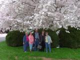 Gathered Under The Tree