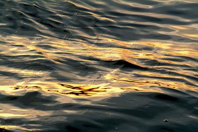 DSCF0532.jpg