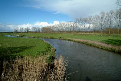 DSCF0821.jpg