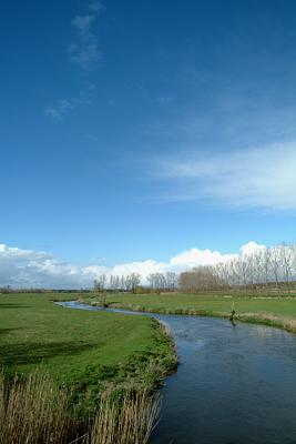 DSCF0833.jpg