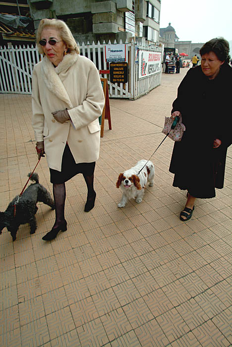 DSCF0747.jpg