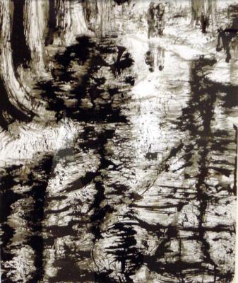 puddles at knowle