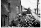 Scanned-Picture330241a.jpg