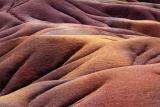 Seven colors and curves