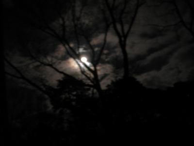eerie_moon.jpg