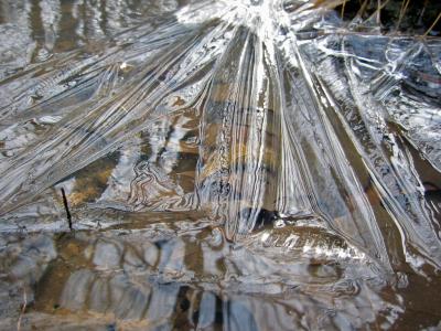 Puddle Ice