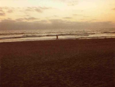 sunsetjogger-before.jpg