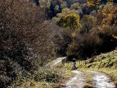 Charmant chemin
