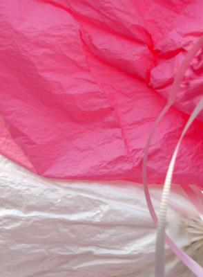 balloon March 11 2005 p.jpg
