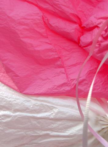 balloon March 11 2005 p.jpg
