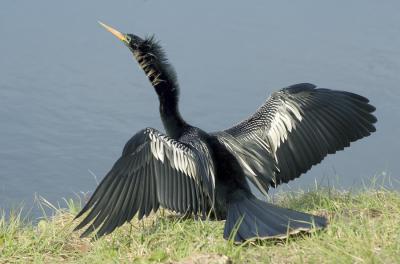 DSC_6884.jpg