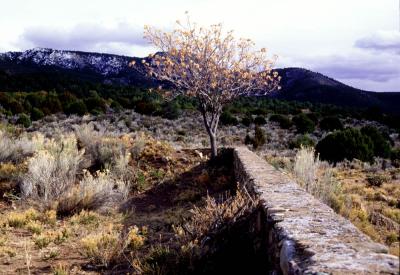 Stone Wall 3
