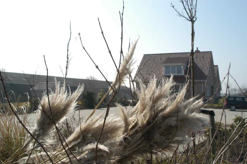 Goedereede008.JPG