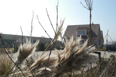 Goedereede008.JPG