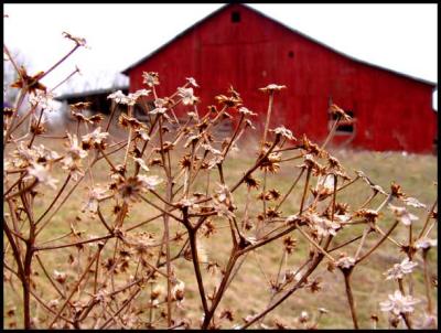 At the Prairie