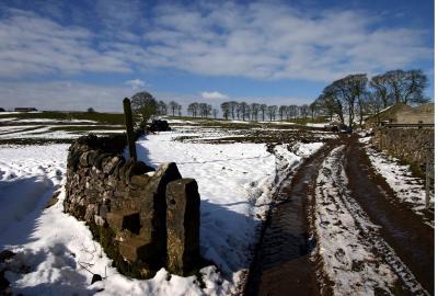 Landscapes, flora and fauna of derbyshires peak district