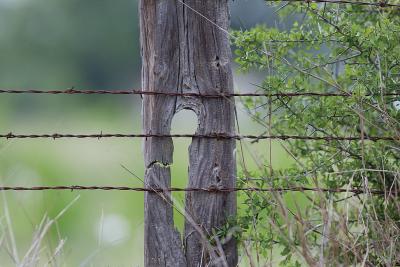 Key-Hole-Post