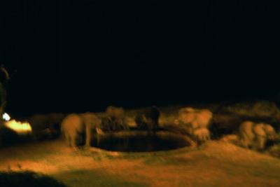 View from the Restaurant at Ngulia Lodge