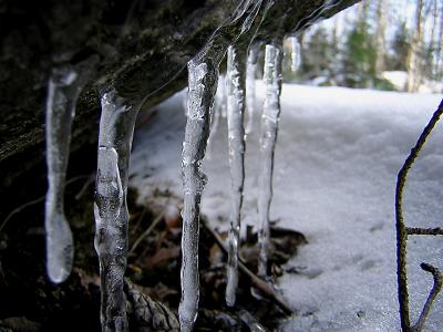 Ice underneath a stone