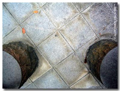 Looking down