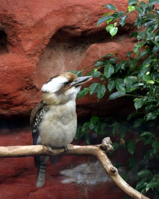 zoo2 047.jpg