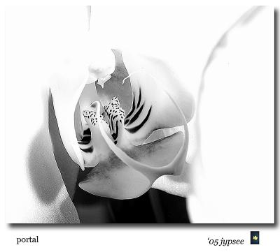portal
