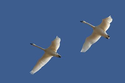 IMG_4717.jpg
