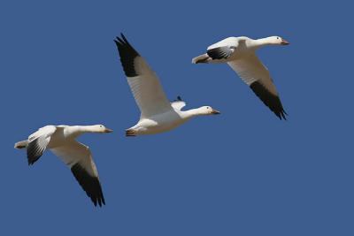 IMG_4859.jpg
