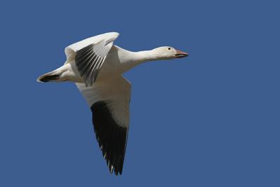 IMG_4862.jpg