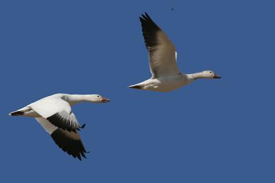 IMG_4925.jpg