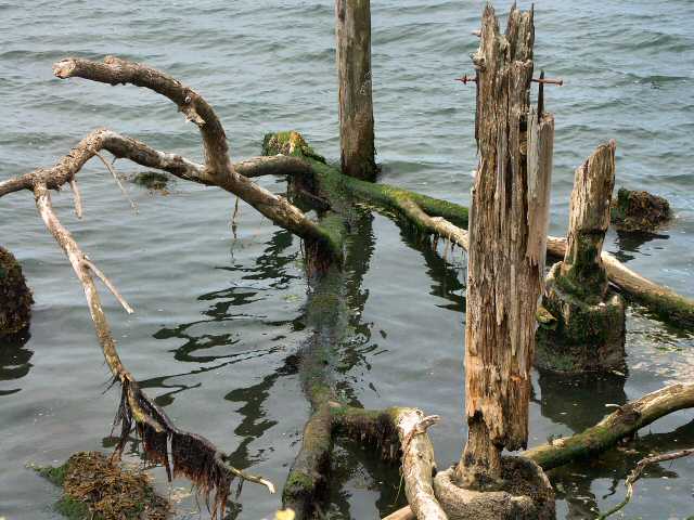 040710 Tillamook Bay