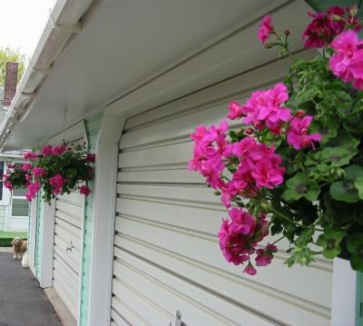 Peeking around the garage