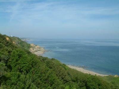 DSCF0610.JPG