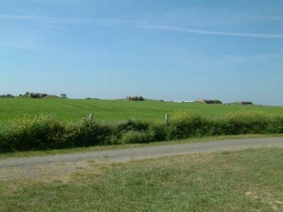DSCF0613.JPG