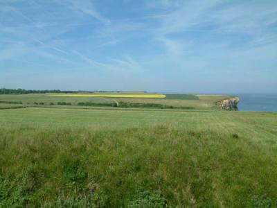 DSCF0630.JPG